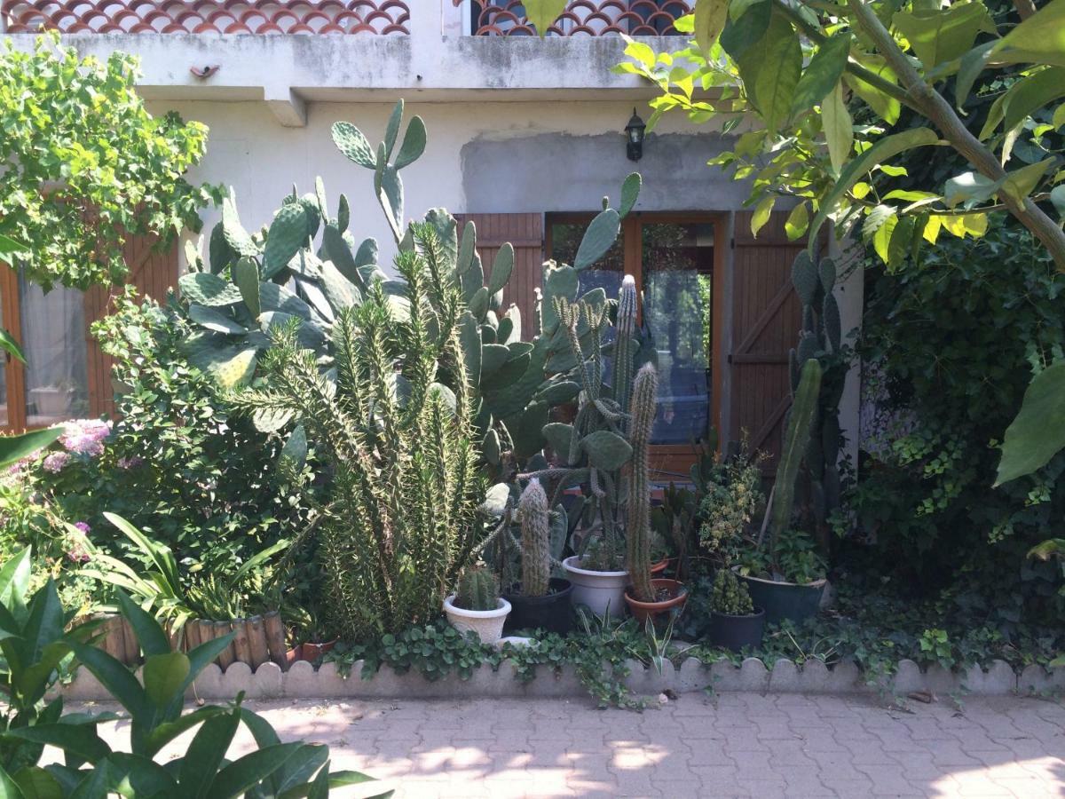 Villa Haras Des Arcades Perpignan Exterior foto